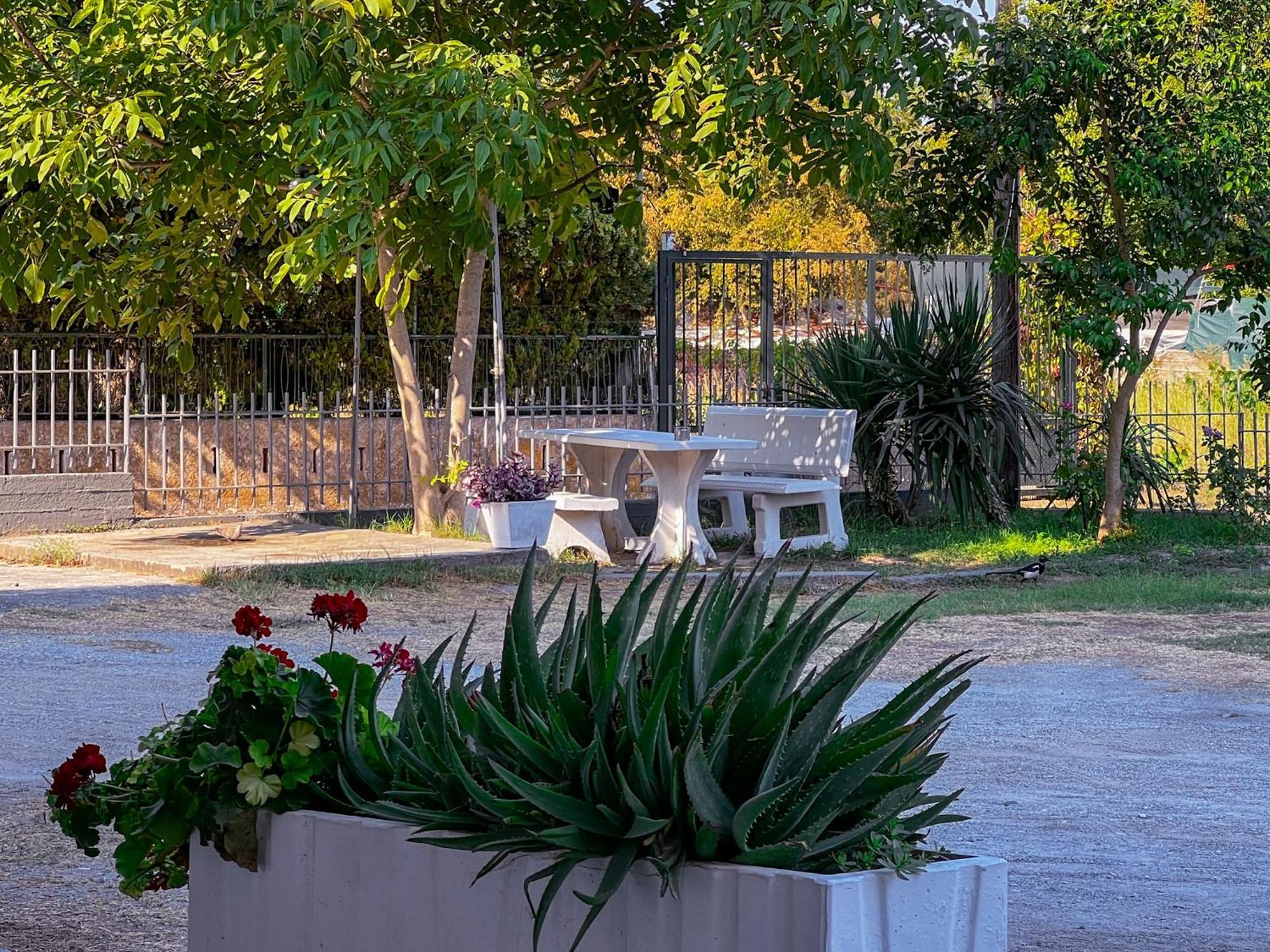 Prado Apartment Hotel Limín Litochórou Exteriér fotografie